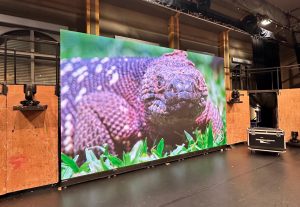 Ecran dalles leds de 15m² dans le cadre d'une exposition photos